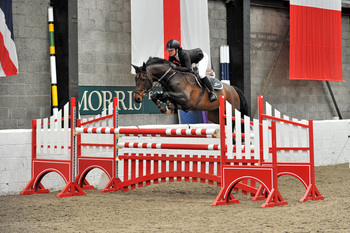 Holly Miller Takes Victory in SEIB Winter Novice Qualifier at Morris Equestrian Centre